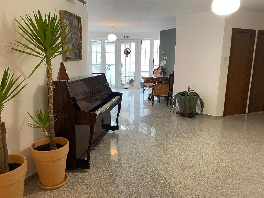 Budux Delux Vila Săcele Extérieur photo